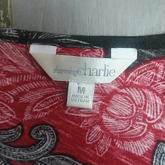 Charming Charlie Gray and Red Blouse - Picture 4 of 7